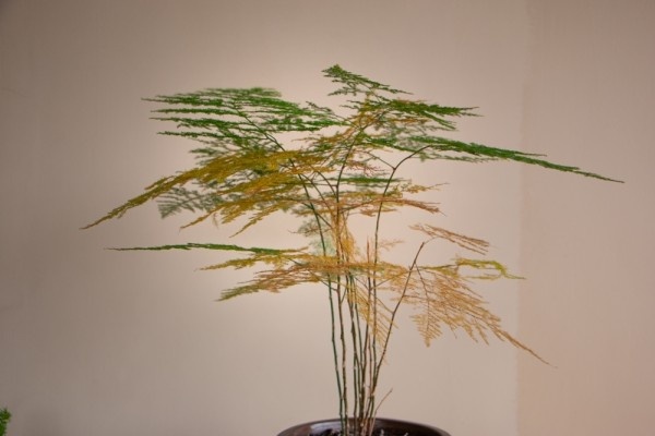 Источник фото shutterstock.com