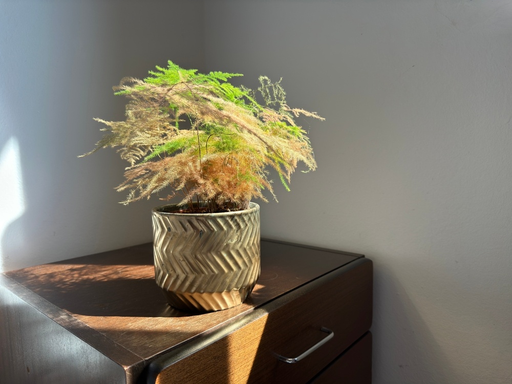 Источник фото shutterstock.com