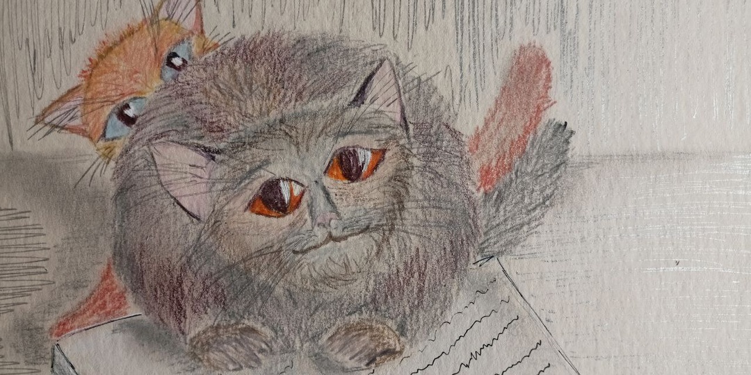 Пополнение