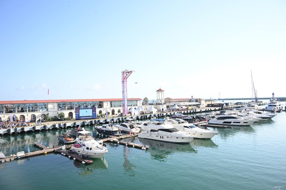    Фото: Telegram/Сочи Официальный