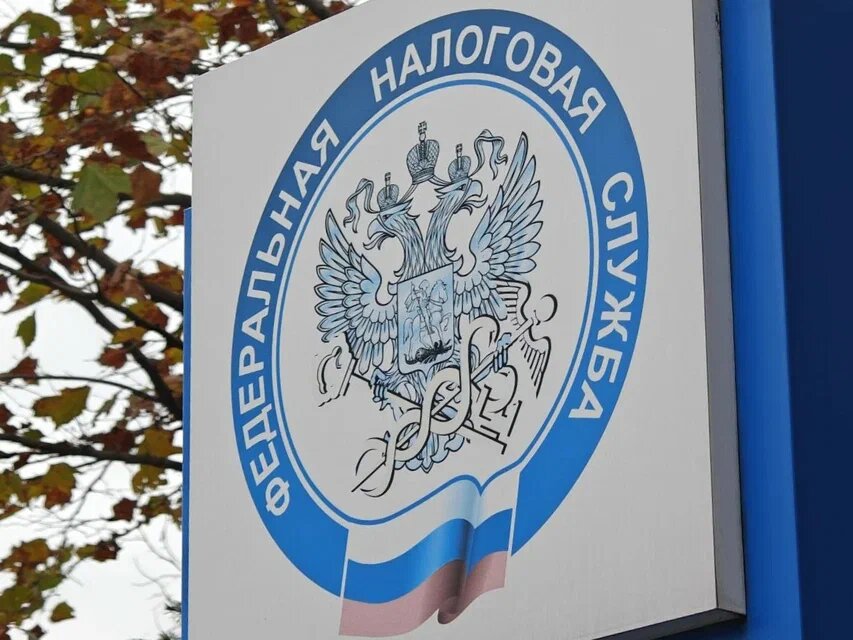    Фото: Юрий Серебренников/BFM Кубань