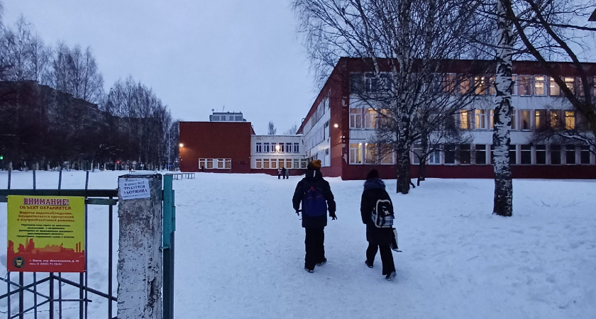    Фото progorod43.ru