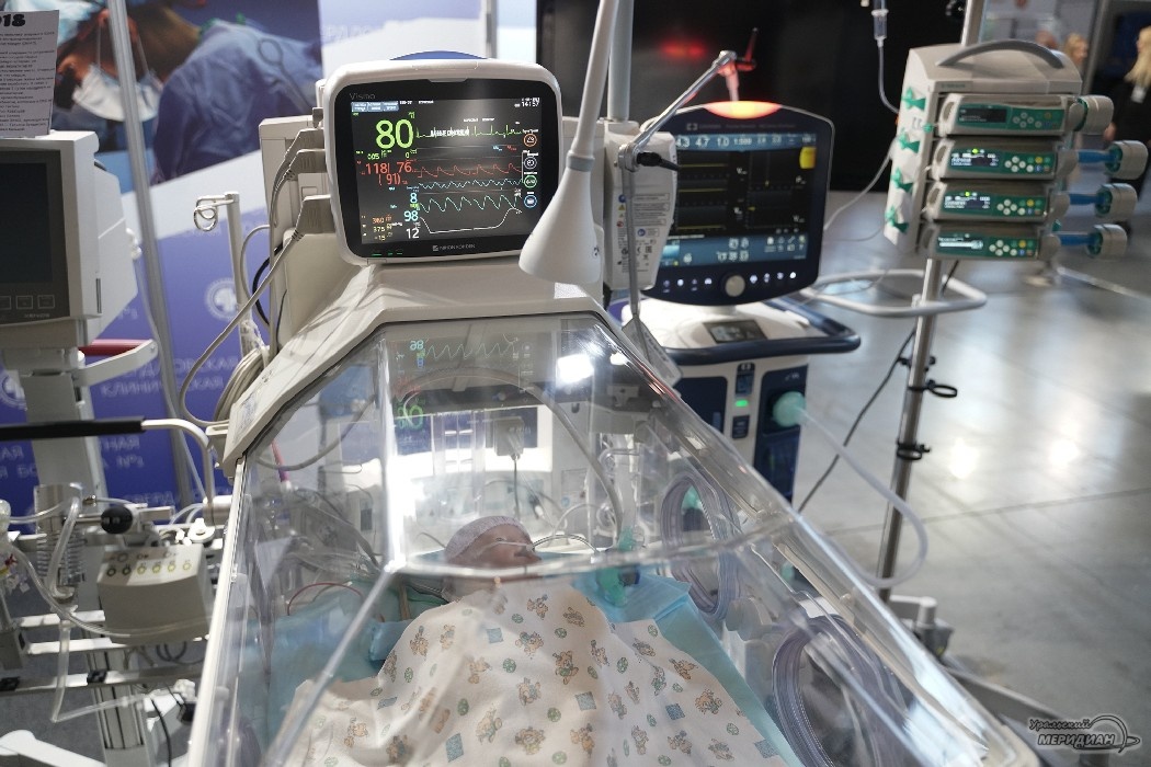    Фото: Лидия Аникина © ИА «Уральский меридиан»