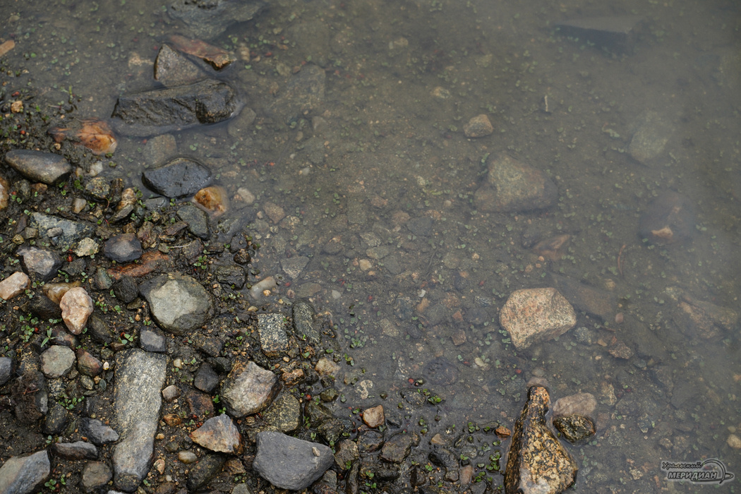    Фото: Лидия Аникина © ИА «Уральский меридиан»