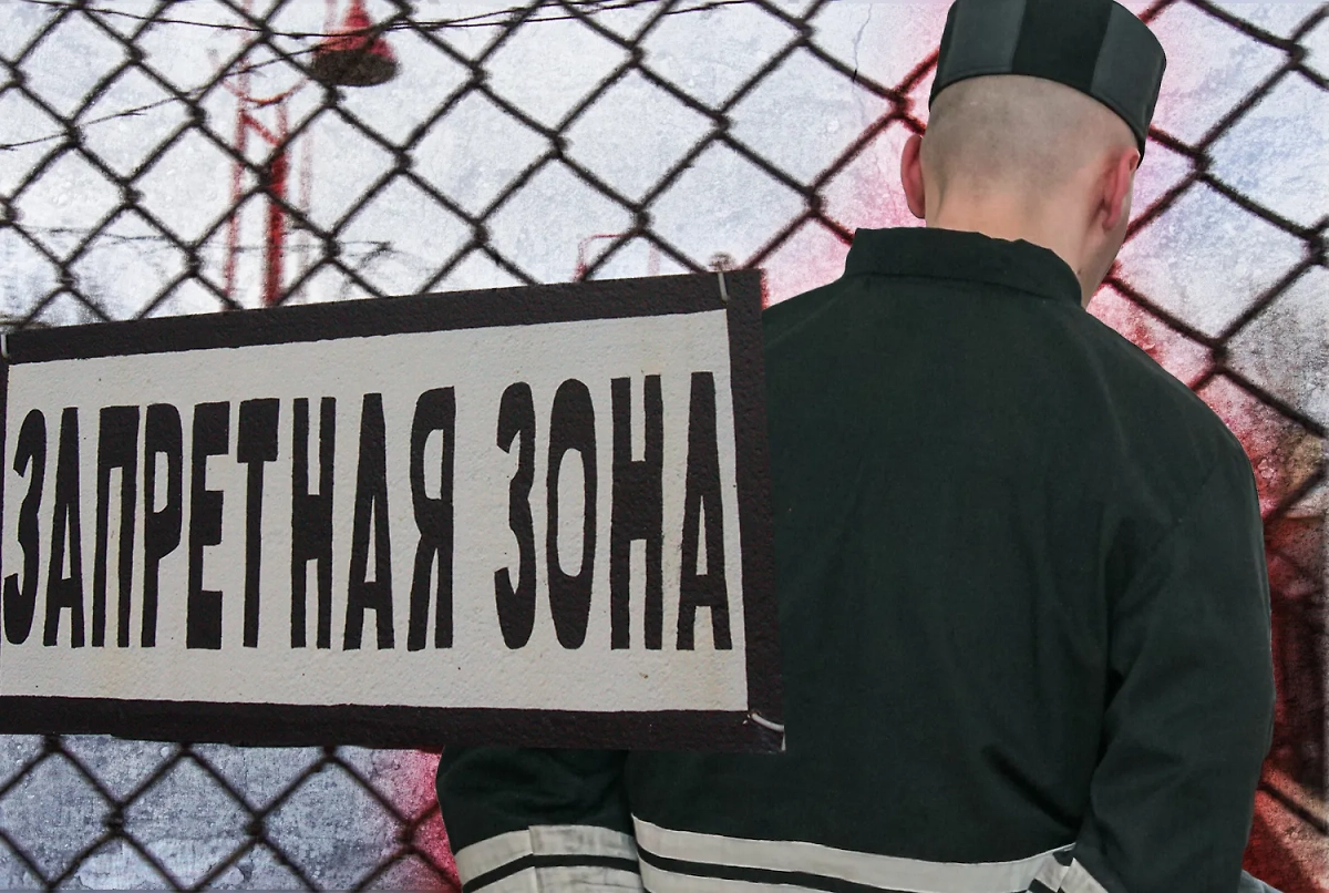 Фото: Коллаж Life.ru. Обложка ТАСС / Марина Круглякова, Валентин Спринчак