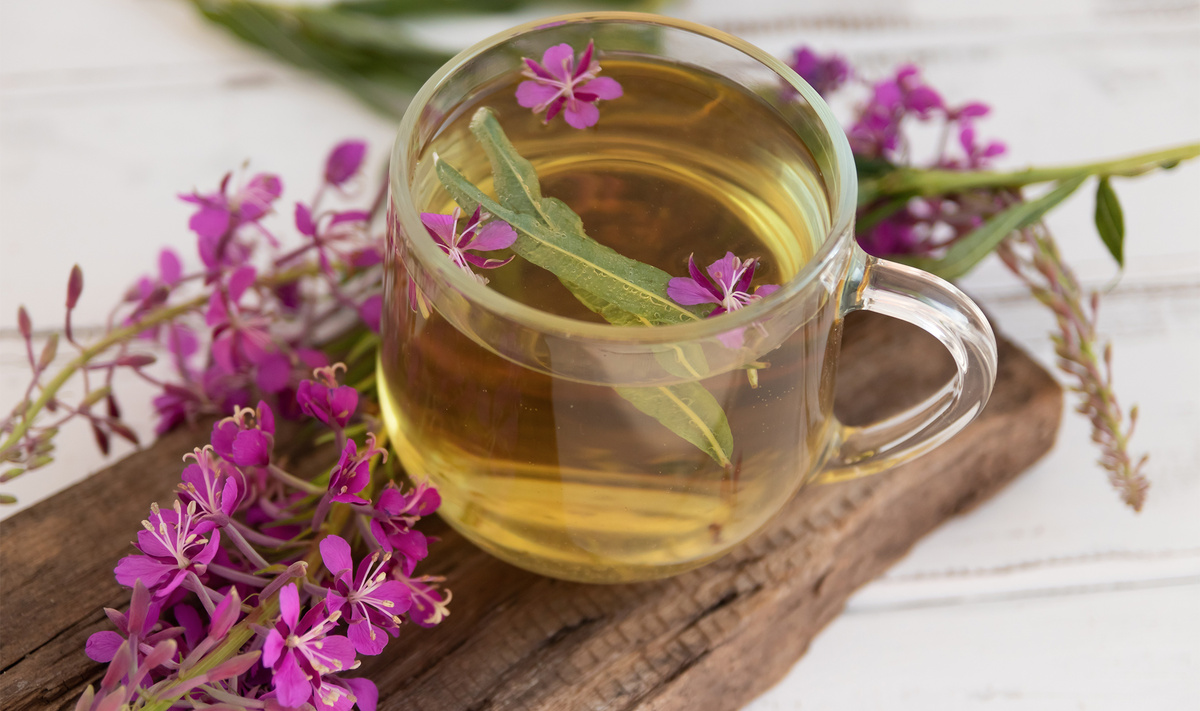 Захвати друзьям коробочку камчатского иван-чая (кипрея) — его душистый аромат напомнит о лете.Фото: Ekaterina Poltoracnienko / Shutterstock.com