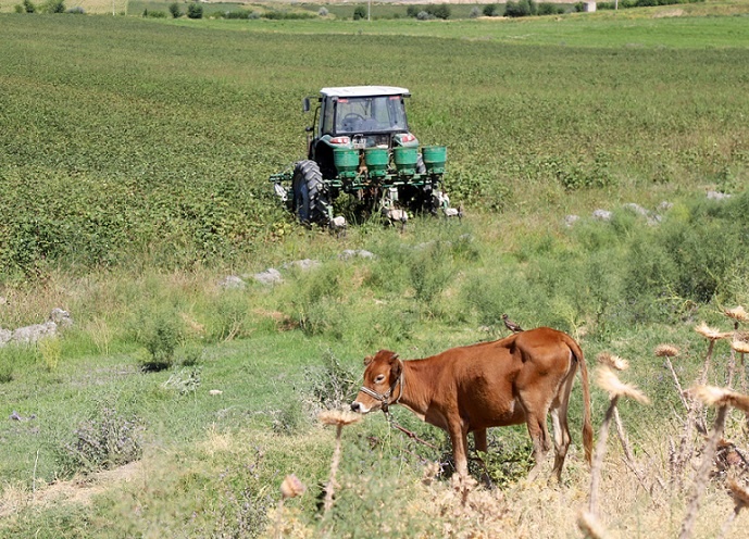 Фото с сайта gazeta.uz