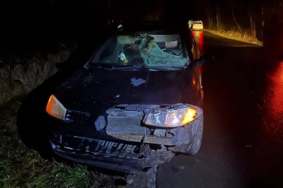    Женщина на Renault Megane сбила пешехода в Погарском районе Брянщины