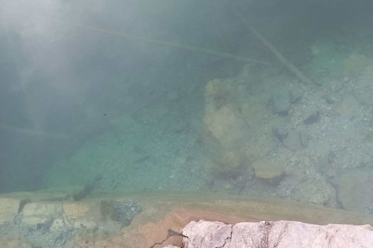    Фото: Виолетта Биенко