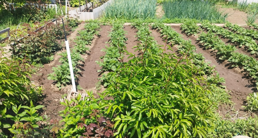    Фото irkutsk.news