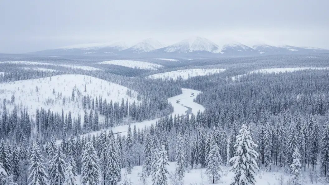    Коллаж Царьграда