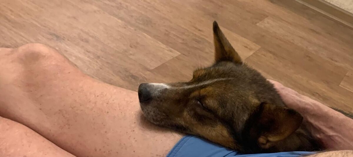 Любимые коленки!