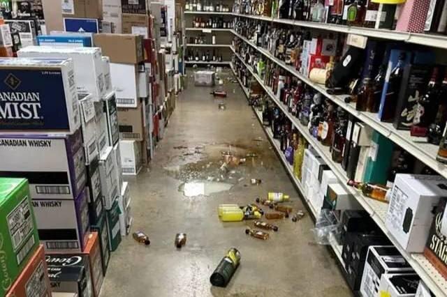 Последствия похода енота в местный магазин. Фото © Animal Protection and Shelter | Hanover County, VA