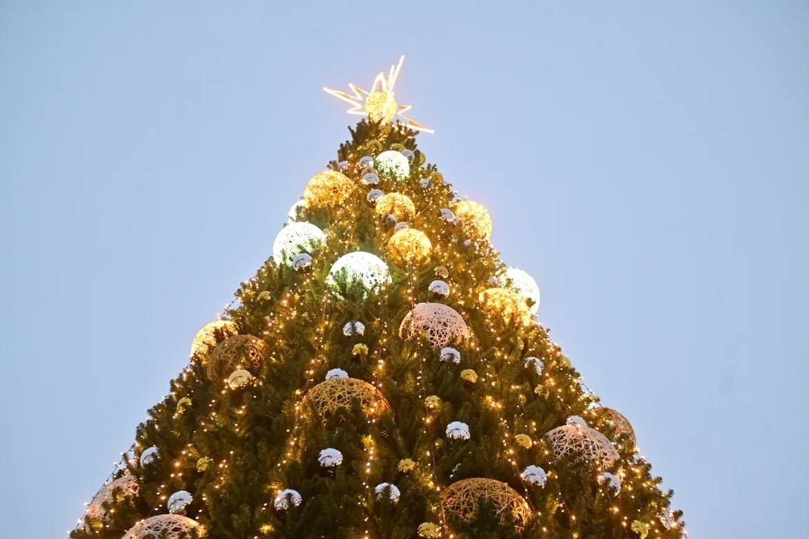 Фото из телеграм-канала Андрея Беляева