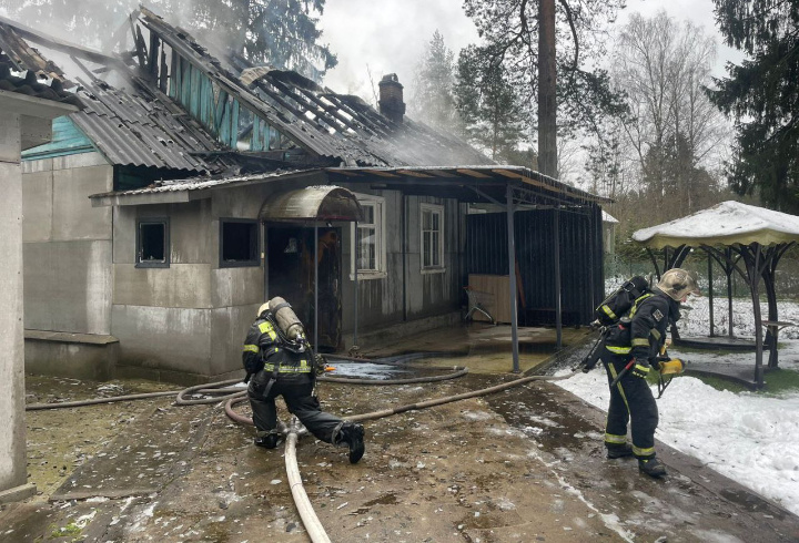 фото: t.me/gumchslo