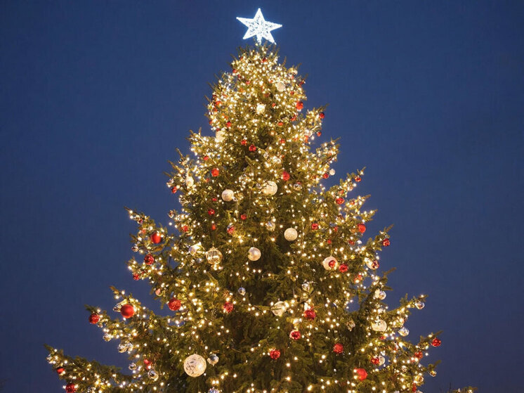     фото сгенерировано алисой