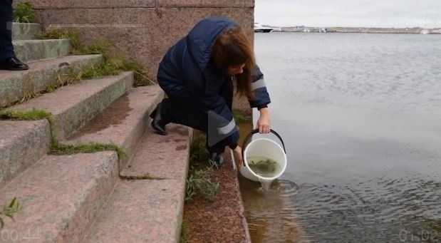 Фото: скриншот видео пресс-службы ГУП «Водоканал Санкт-Петербурга»