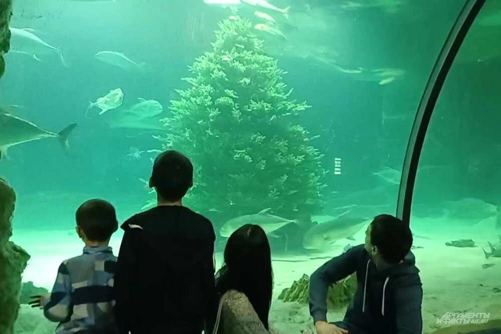    Украшение разместили на глубине более 4 метров. Фото: АиФ/ Екатерина Мазенко