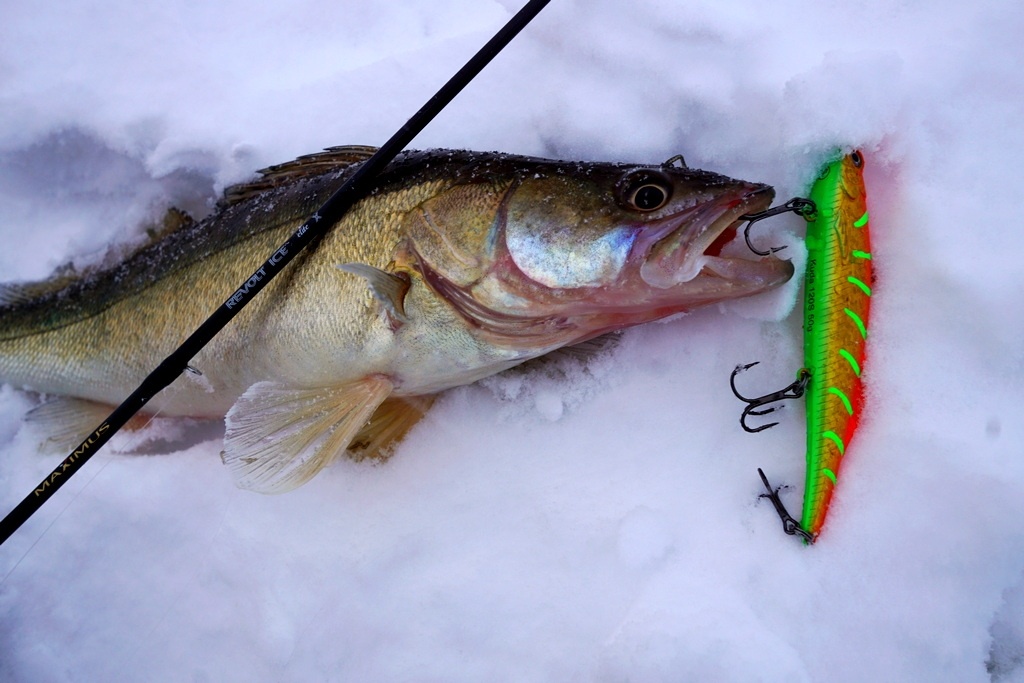 фото: Вячеслав Голубев