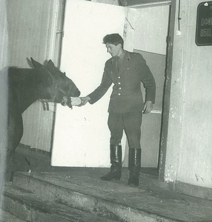 Лошадь и товарищ лейтенант у офицерского общежития...