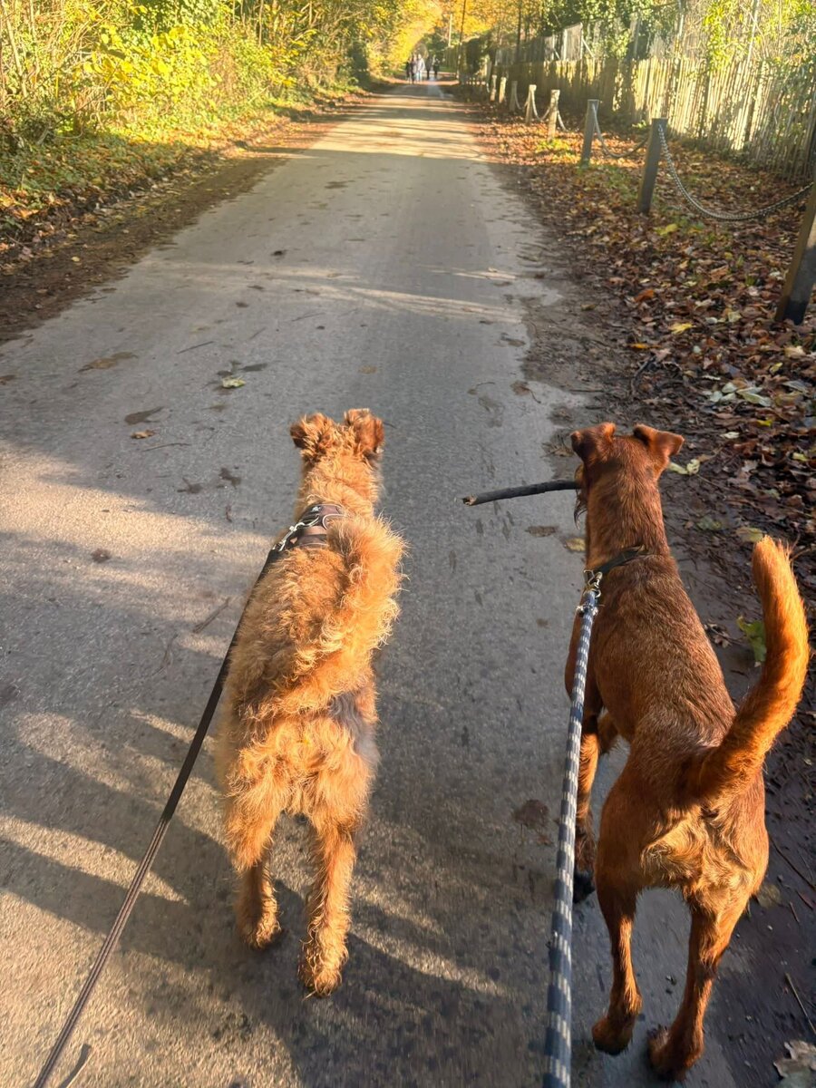 Разница очевидна