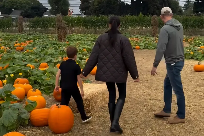 Фото из свободных источников.