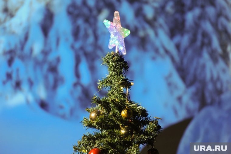 Как отдыхаем в новогодние праздники 2026: как оплачивается работа в выходные, какая зарплата в январе