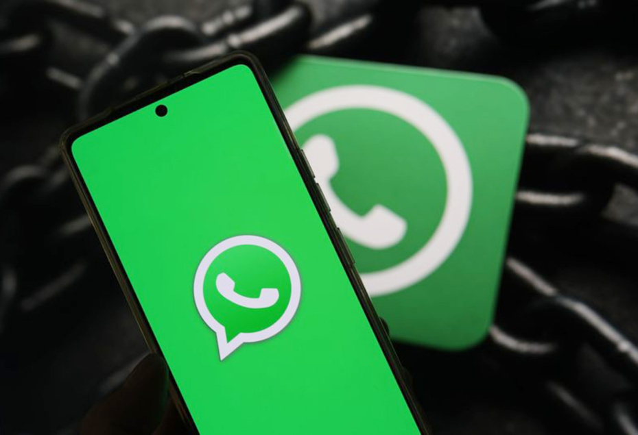    Александра Погиба/NEWS.ru