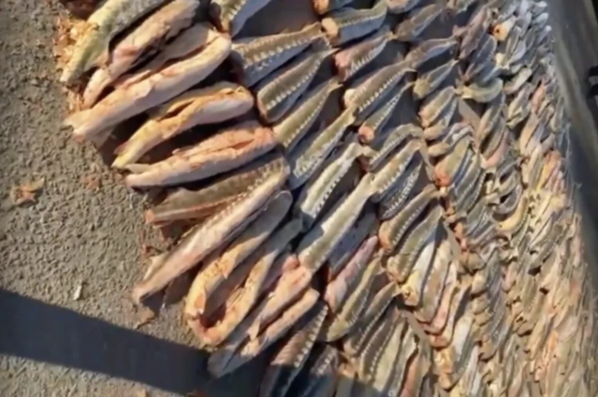    250 млн ущерба.