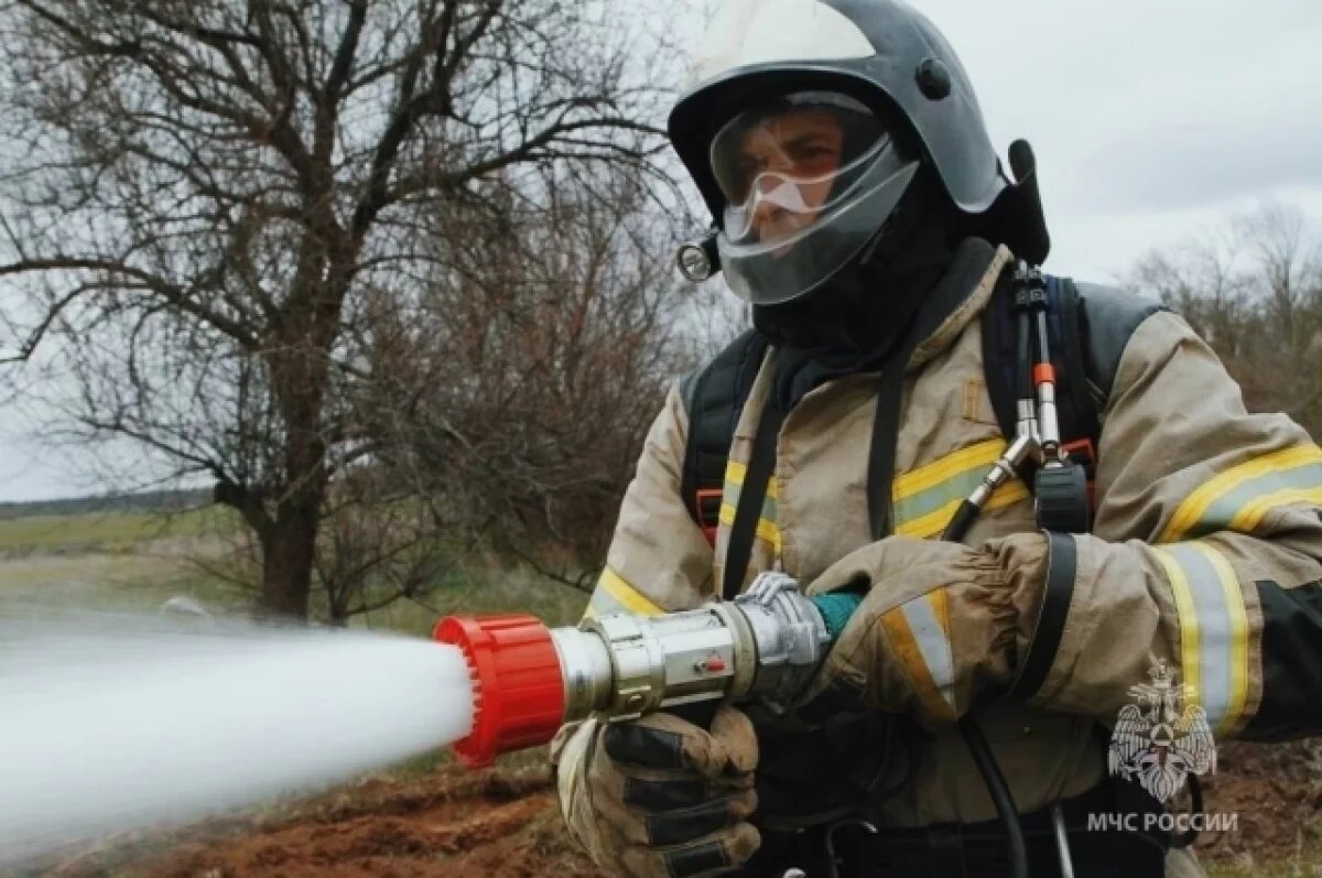    В МЧС предупредили ростовчан о проведении выжиганий сухой травы