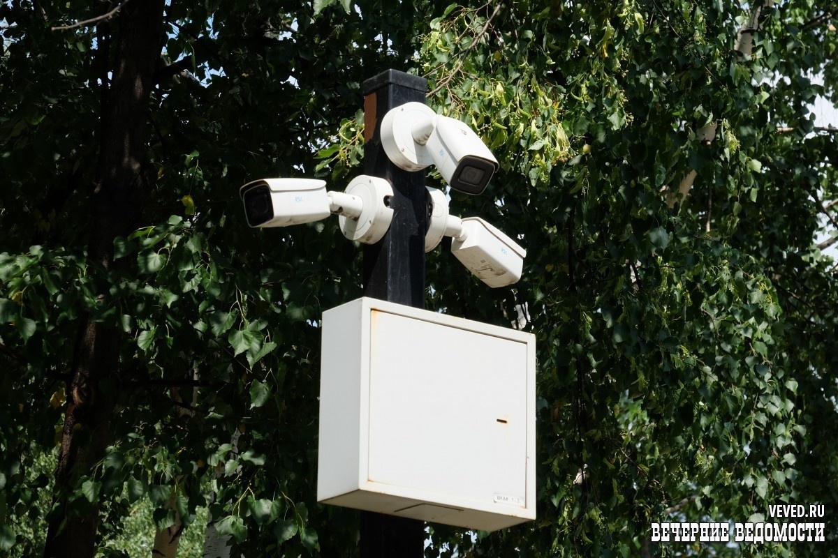     Фото: Владислав Постников / Вечерние ведомости