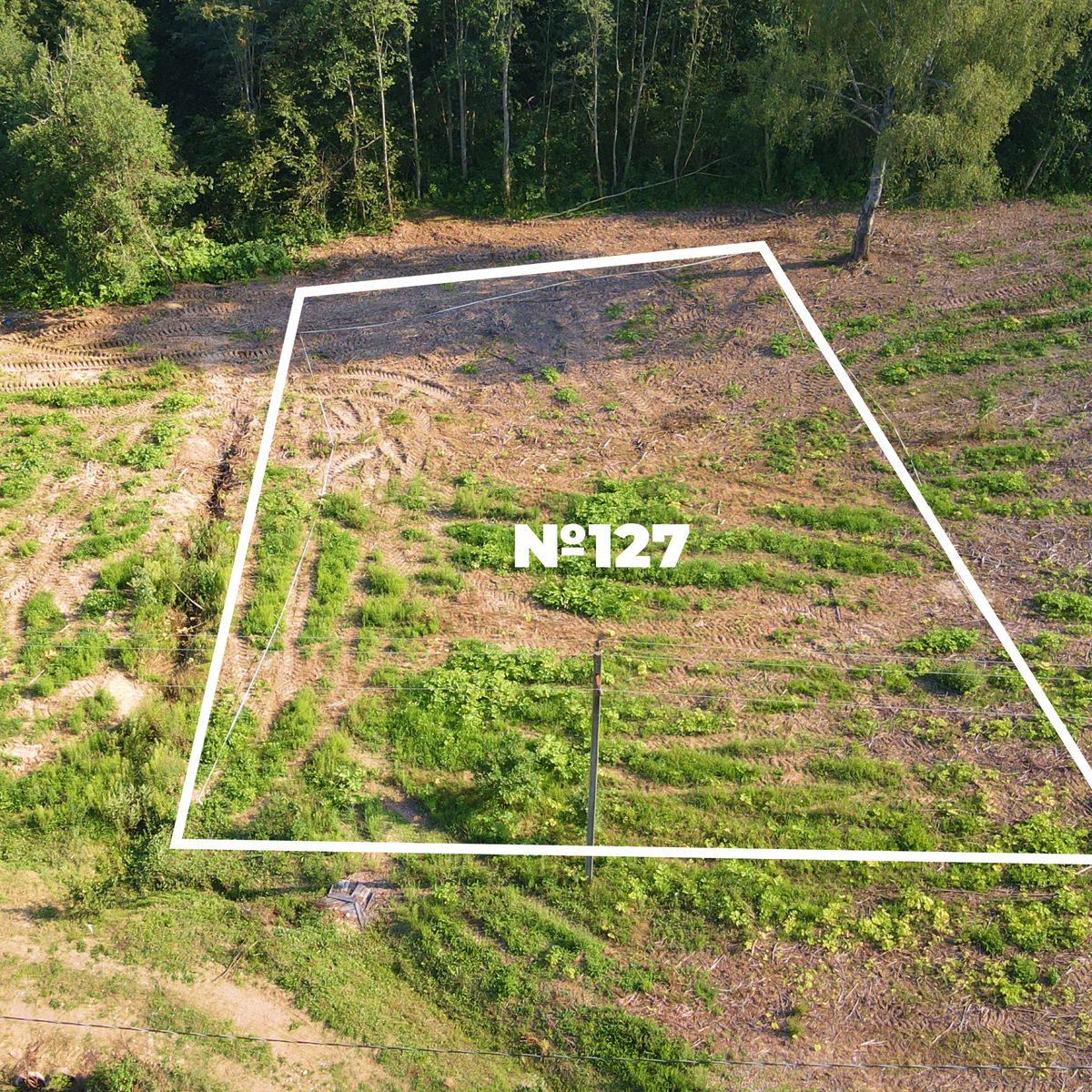 Планируйте расположение строений относитьльно сторон света, учитывая деревья, дороги и постройки соседних участков