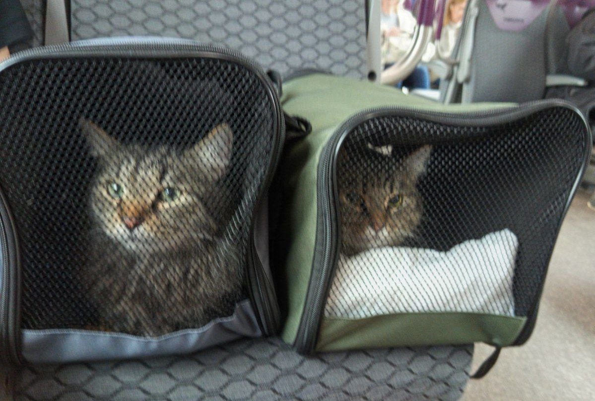 В электричке