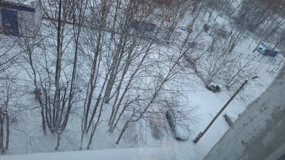 Вот она, бедняжка, вся снегом укрыта. Сиротка!