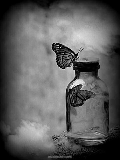 Адреналин – наш союзник