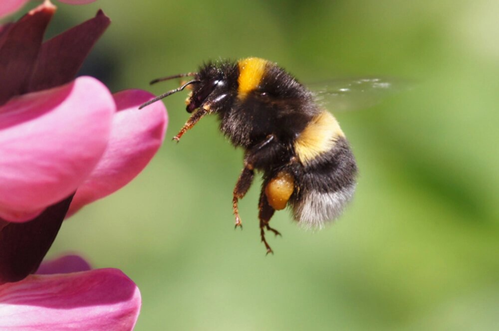    Фото: istockphoto.com