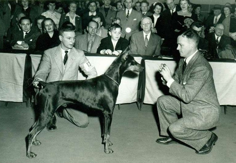 Добрый день, налоговая инспекция. За неуплату вас ожидает денежный и сосисочный штраф. Первый — в уплату государству. Второй — в уплату работников. 