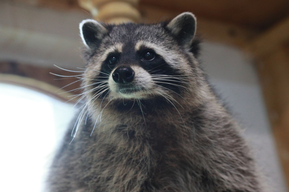    Сергей Булкин/NEWS.ru