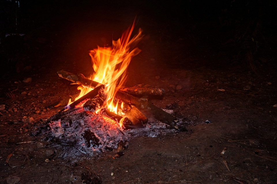 Anzz Media, Шаттерсток
