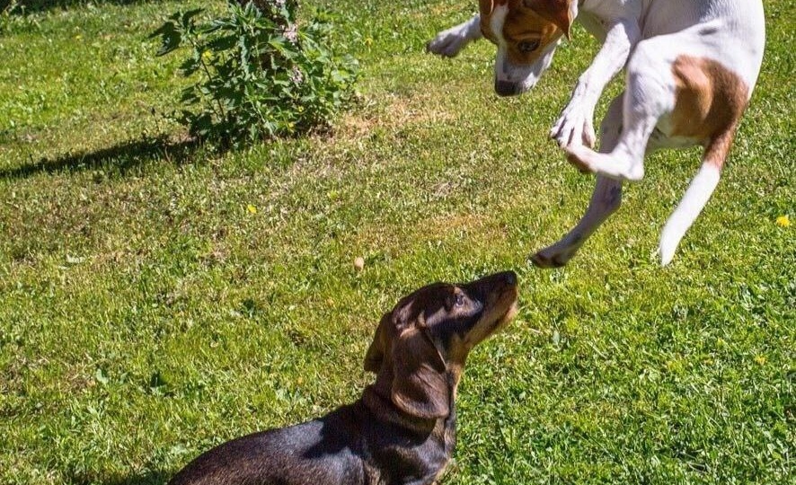 Радость идёт против основ математики: она умножается, когда мы делимся