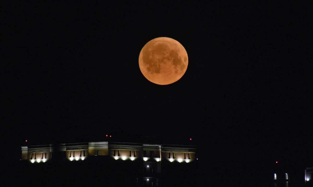 Фото: nsknews.info