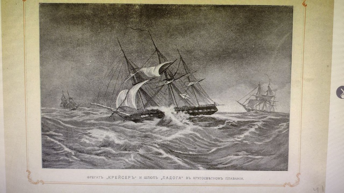 Изображение из открытых источников Яндекса