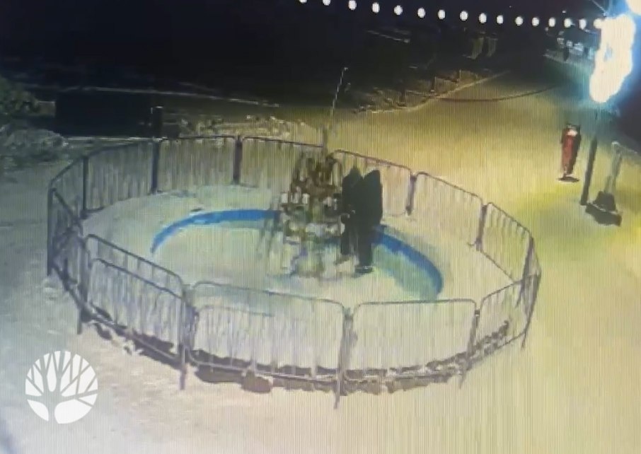    Фото: Дирекция городских парков