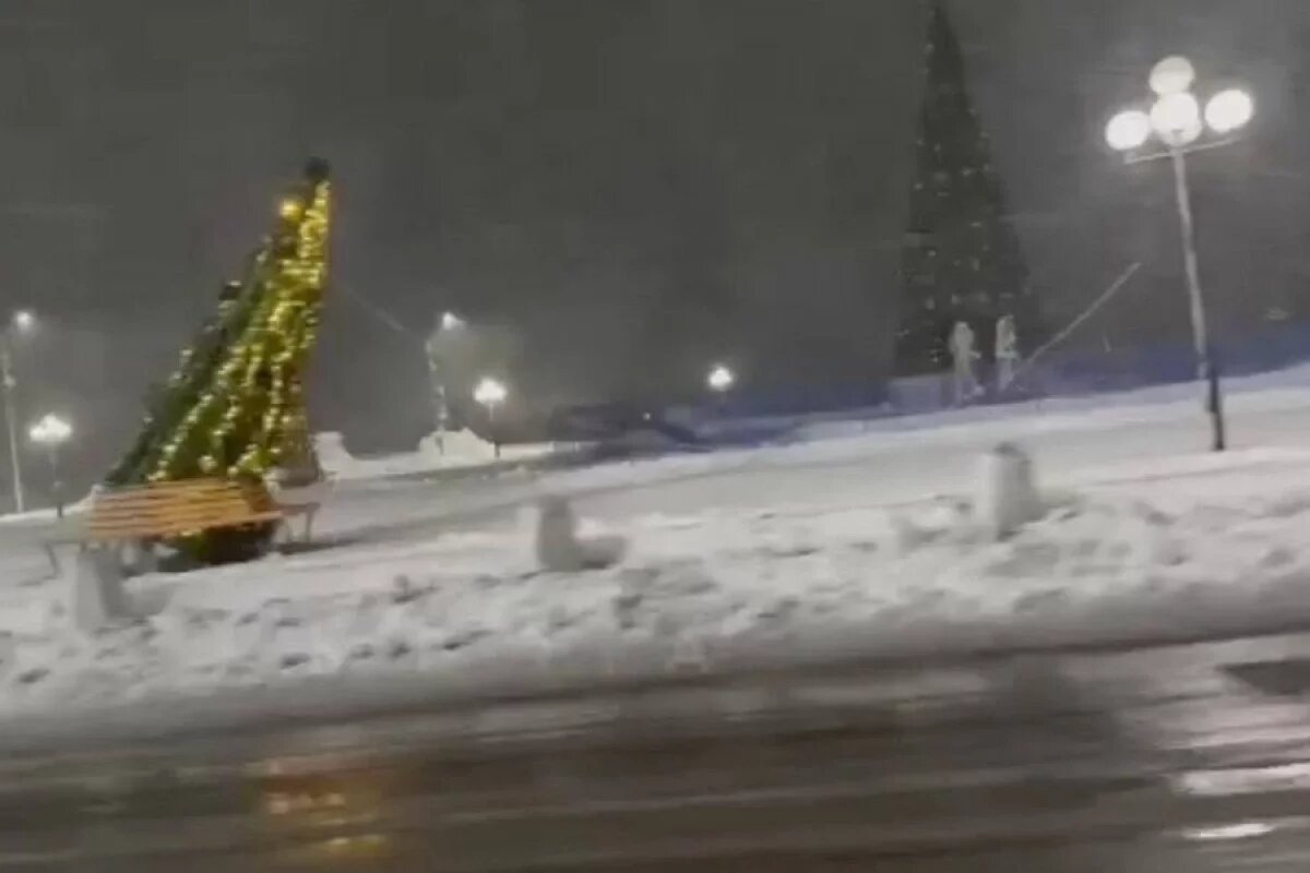    Циклон повредил новогодние ели в Петропавловске
