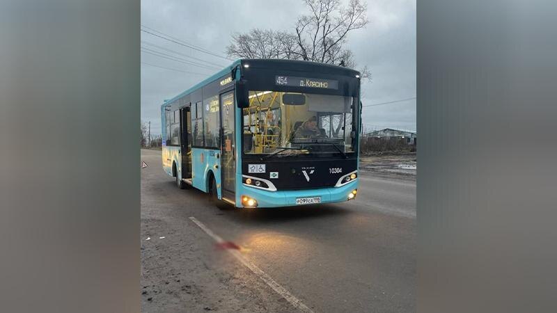    Фото: t.me/spb_police78