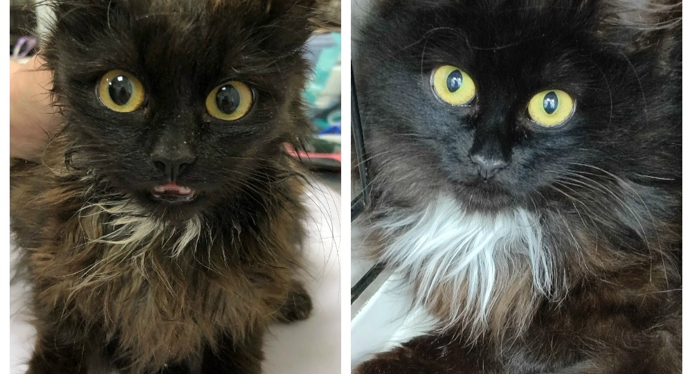 До и после: любуйтесь и радуйтесь прекрасным превращениям