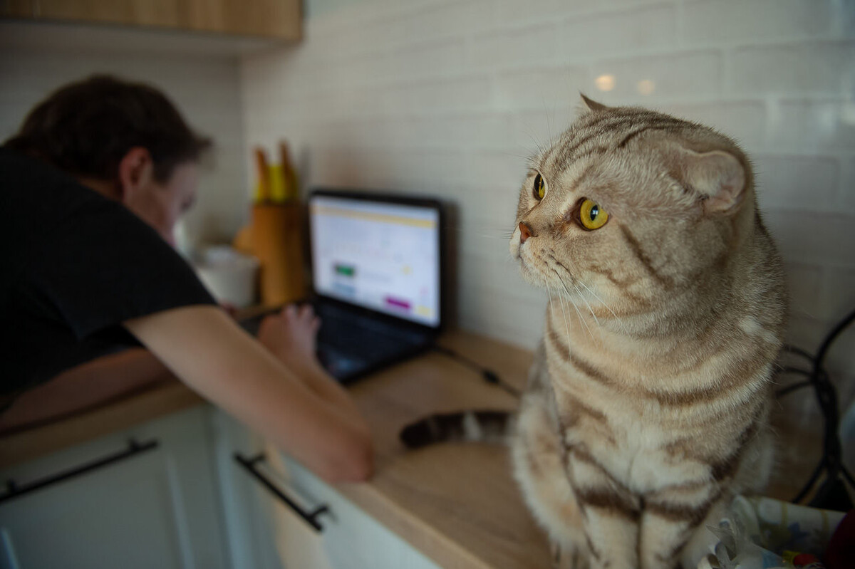 Фото: Андрей Ткаченко