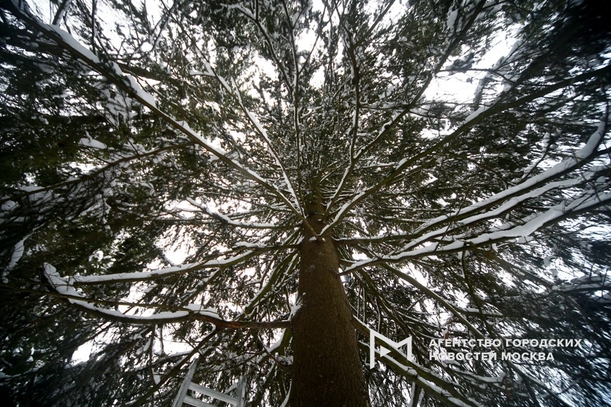 Фотограф: Сергей Ведяшкин