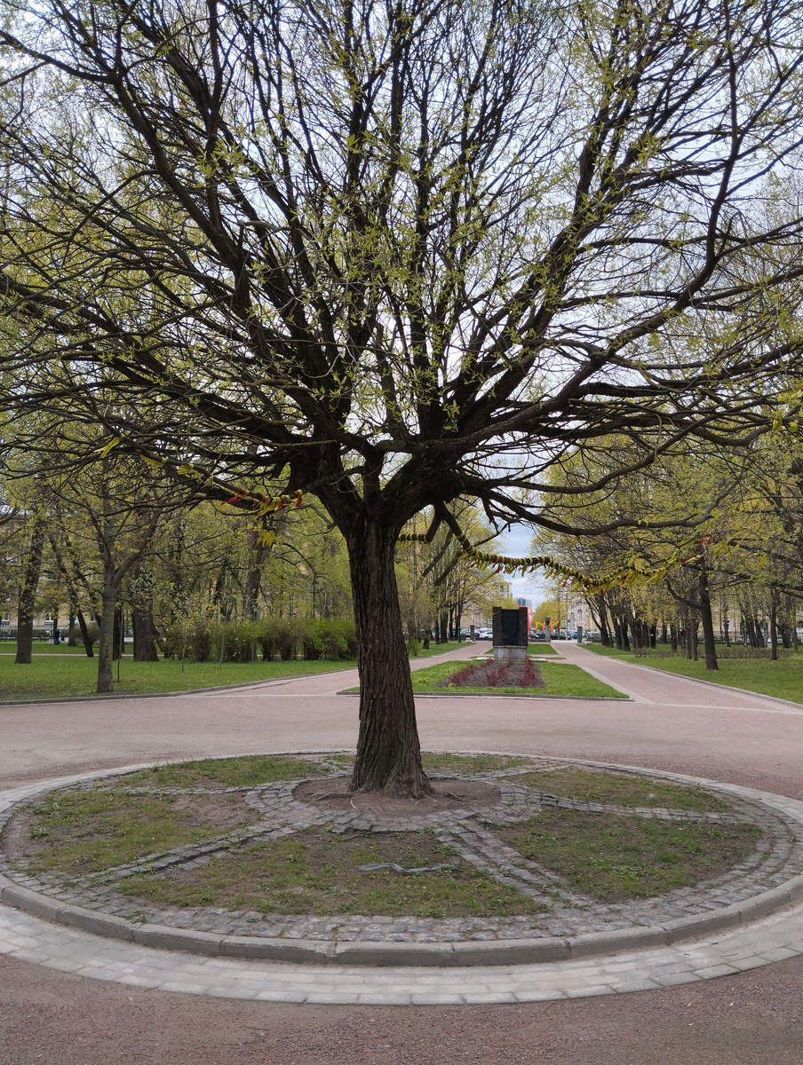 Парк Победы