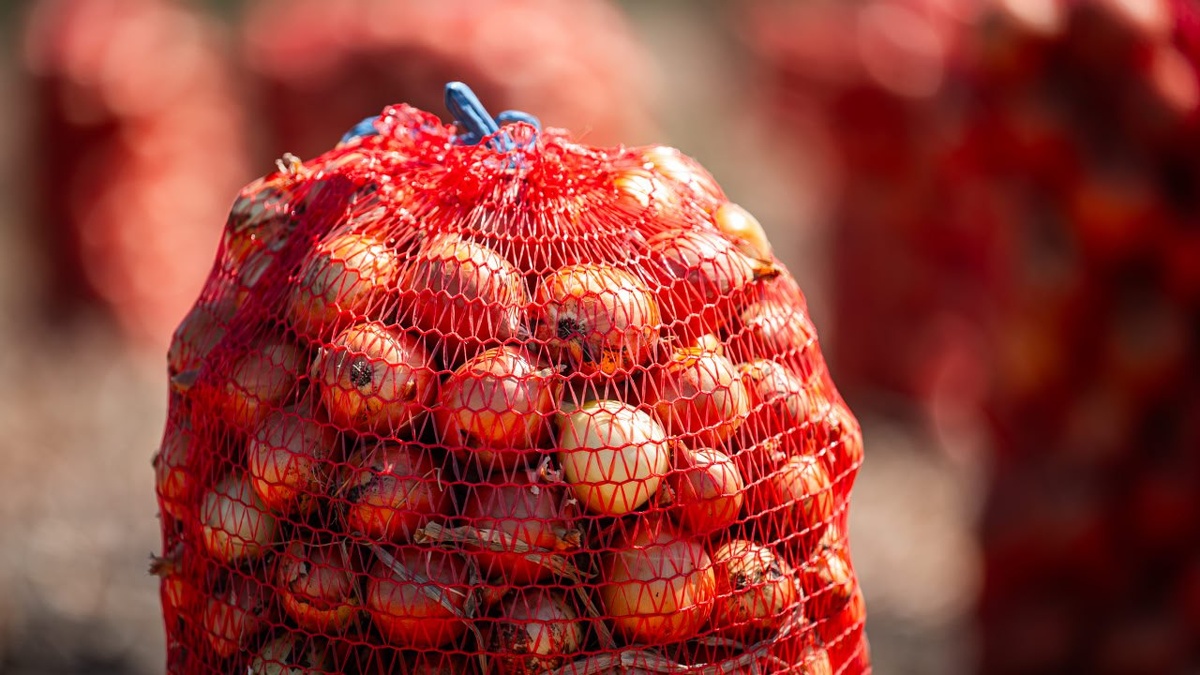 Фото: телеграм-канал губернатора Херсонской области Владимира Сальдо.

